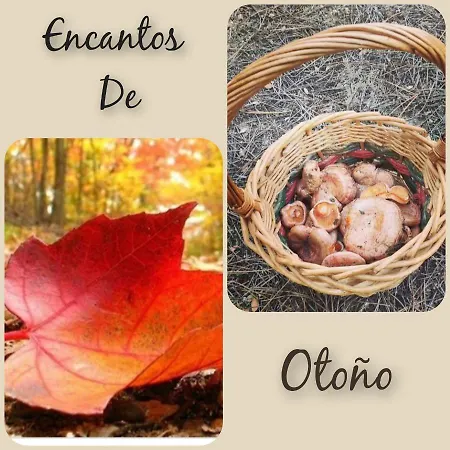 El Robledo Munotello