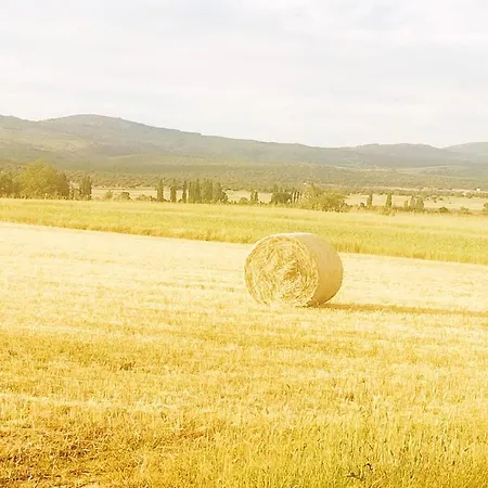 El Robledo * Munotello