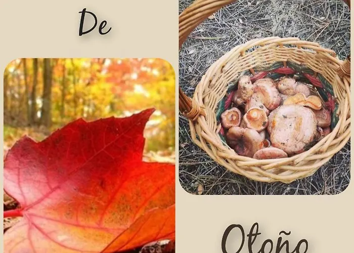 El Robledo Munotello