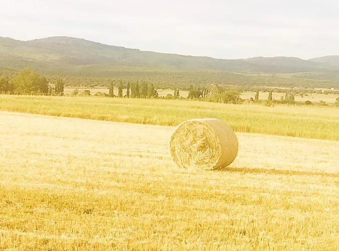 El Robledo * Munotello