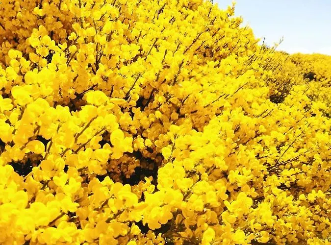 Séjour à la campagne El Robledo Munotello