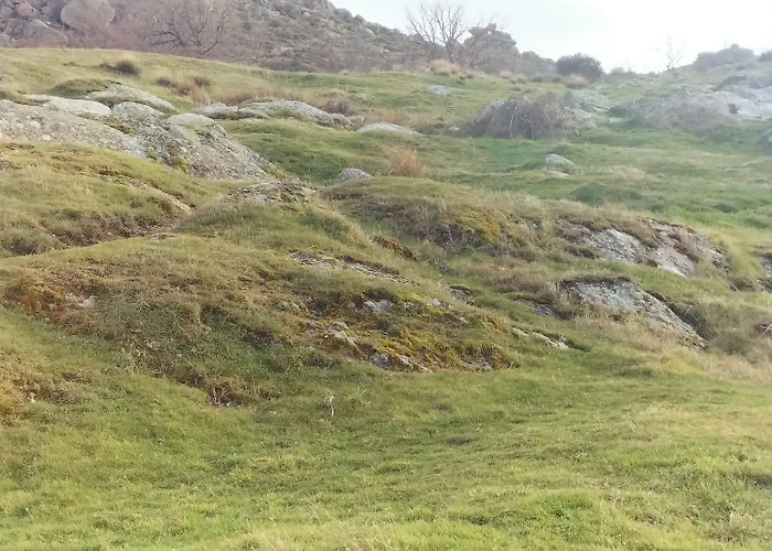 El Robledo Munotello